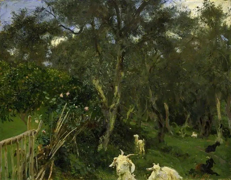 Oliven i Korfu - John Singer Sargent
