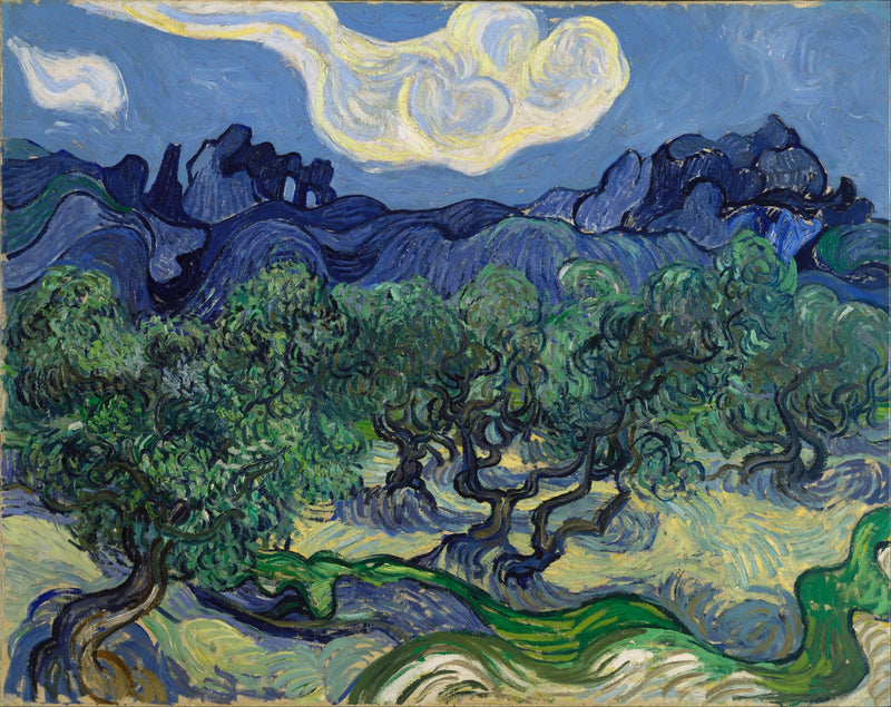 Oliventrær med Alpilles i bakgrunnen - Vincent van Gogh
