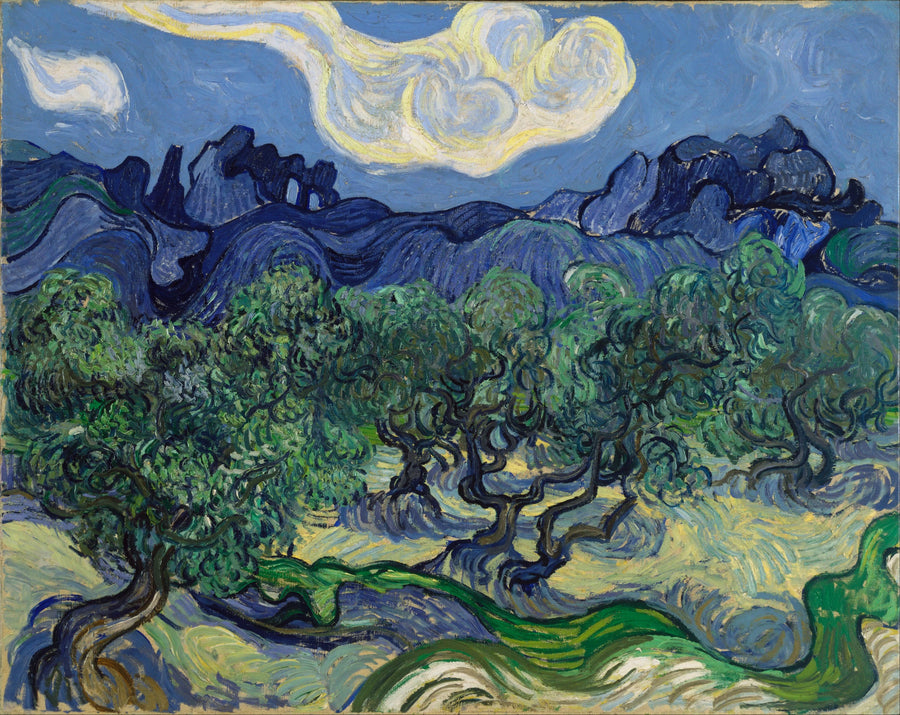 Oliventrær med Alpilles i bakgrunnen - Vincent van Gogh