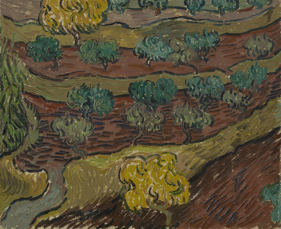 Oliventrær på en ås - Vincent van Gogh