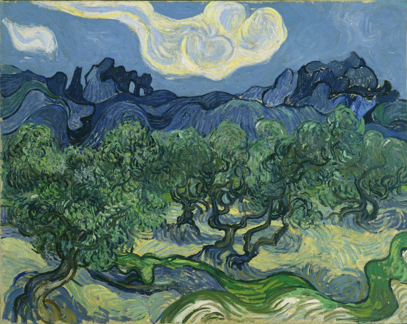 Oliventre - Vincent van Gogh