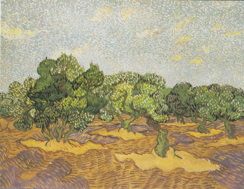 Oliventre - Vincent van Gogh