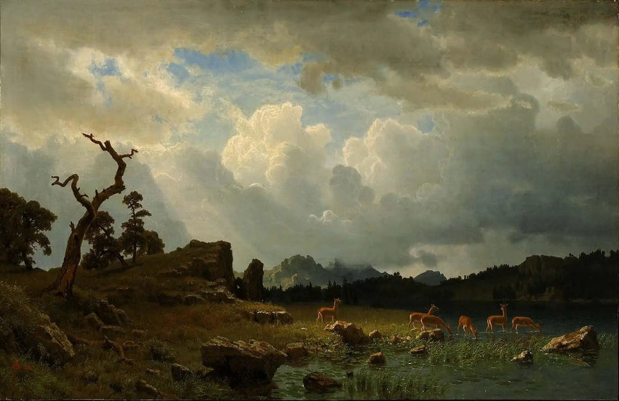 Torden i Rocky Mountains - Albert Bierstadt

Source:
Orage dans les montagnes Rocheuses - Albert Bierstadt