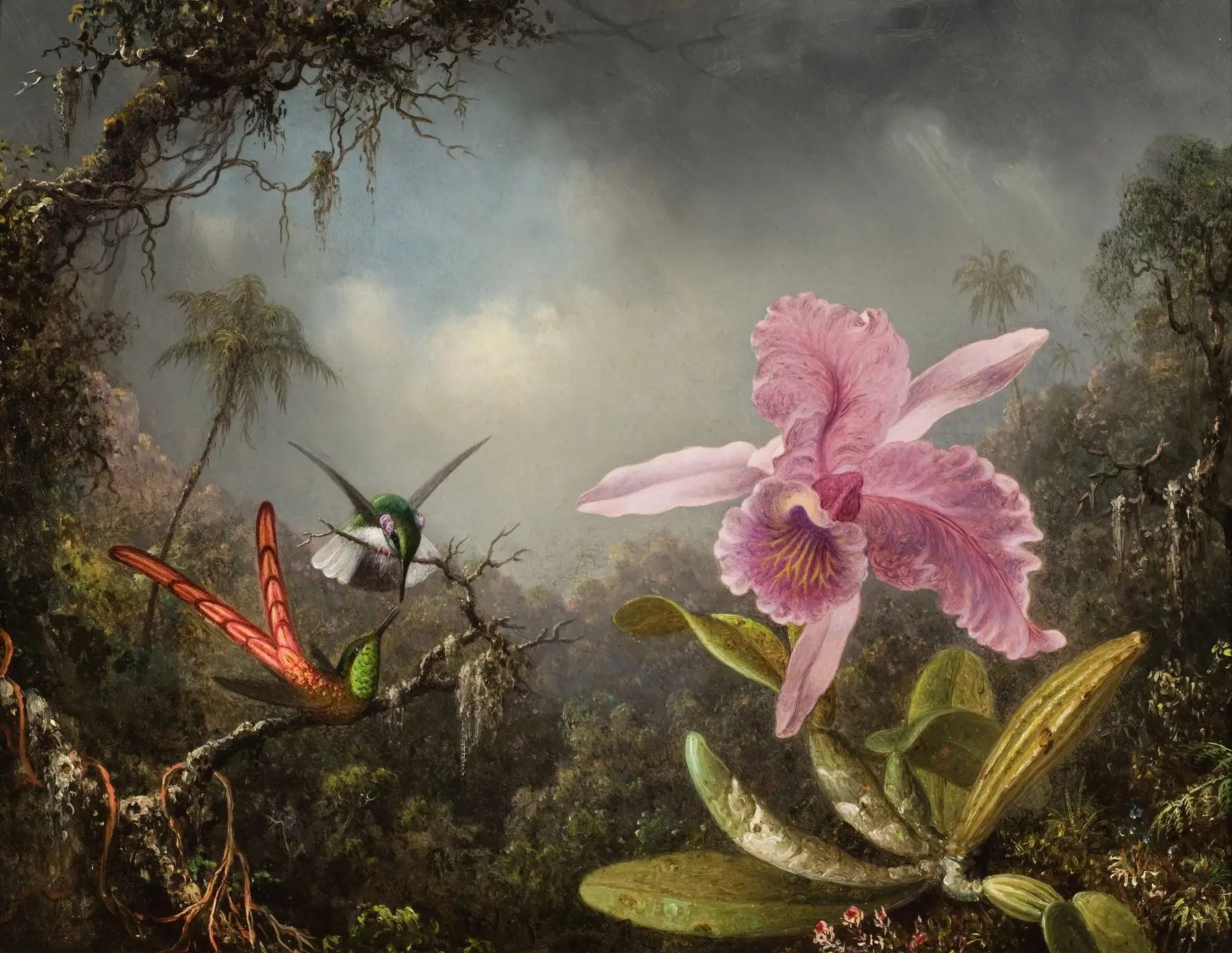 Orchidée avec deux colibris - Martin Johnson Heade image 1 copie peinte à la main à l’huile