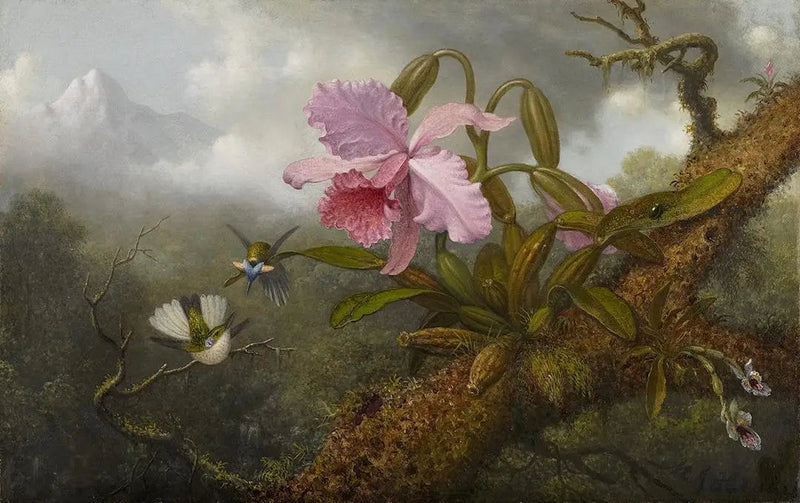 Orkidé Cattleya, to kolibrier og en skarabé - Martin Johnson Heade

Source:
Orchidée Cattleya, deux colibris et un scarabée - Martin Johnson Heade