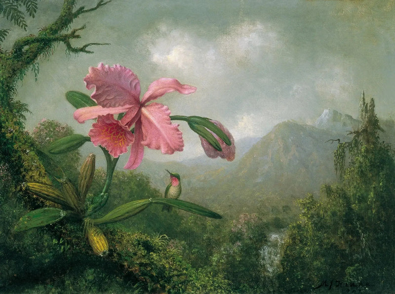 Orkidé og kolibri nær et fjellvannfall - Martin Johnson Heade

Source:
Orchidée et colibri près d'une cascade de montagne - Martin Johnson Heade