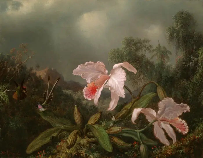 Orkidéer fra jungelen og kolibrier - Martin Johnson Heade

Source:
Orchidées de la jungle et colibris - Martin Johnson Heade