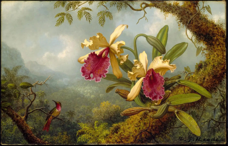 Orkidéer og kolibri - Martin Johnson Heade

Source:
Orchidées et colibri - Martin Johnson Heade