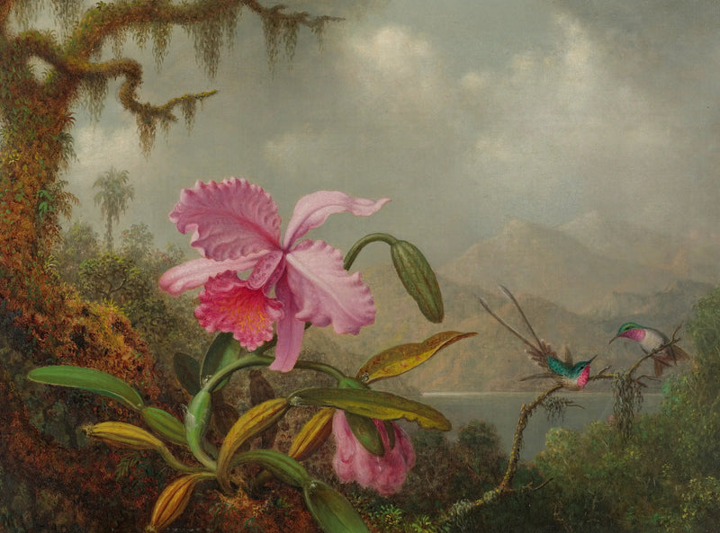 Orkidéer og kolibrier - Martin Johnson Heade

Source:
Orchidées et colibris - Martin Johnson Heade