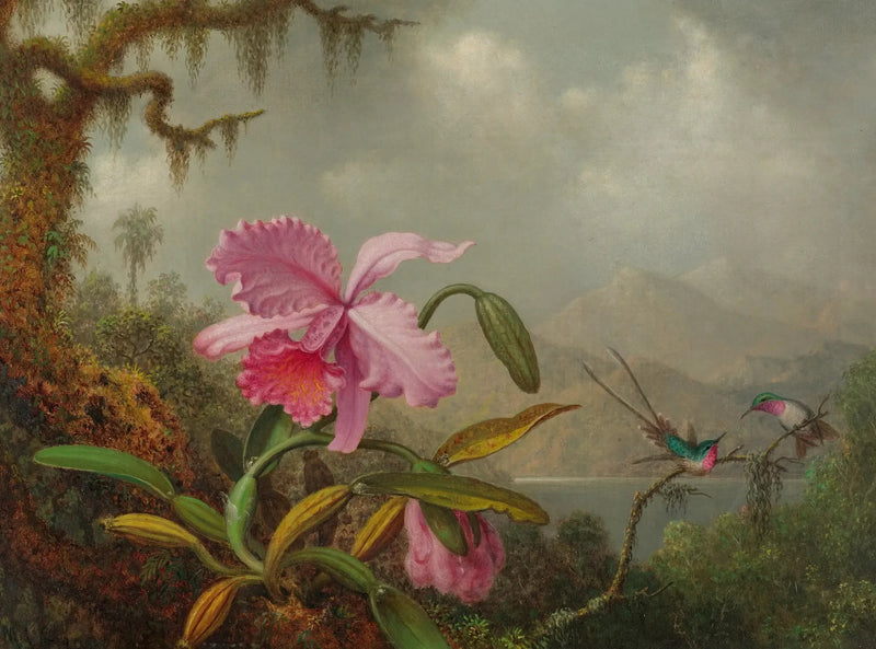 Orkidéer og kolibrier - Martin Johnson Heade

Source:
Orchidées et colibris - Martin Johnson Heade