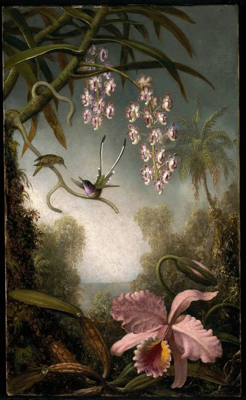 Orkidéer og spray-orkidéer med kolibri - Martin Johnson Heade

Source:
Orchidées et orchidées en spray avec colibri - Martin Johnson Heade