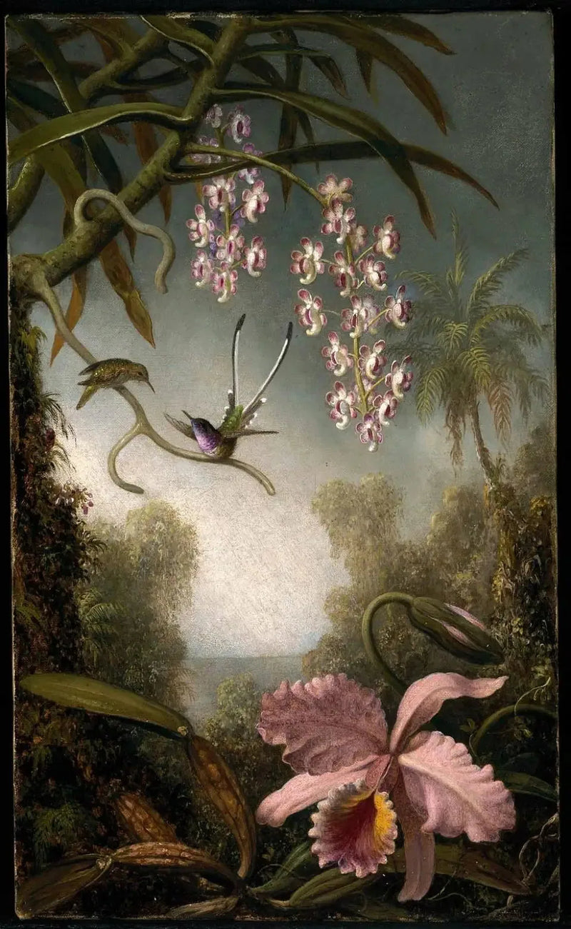 Orkidéer og spray-orkidéer med kolibri - Martin Johnson Heade

Source:
Orchidées et orchidées en spray avec colibri - Martin Johnson Heade