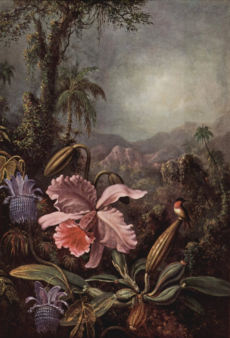 Orkidéer, passiflorer og kolibrier - Martin Johnson Heade

Source:
Orchidées, passiflores et colibris - Martin Johnson Heade