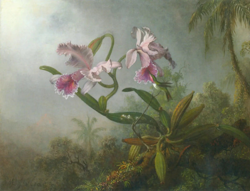 Orkidéer, roser og kolibri på en kvist - Martin Johnson Heade

Source:
Orchidées roses et colibri sur une brindille - Martin Johnson Heade