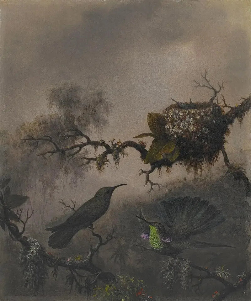 Lilla øre med hvit mage - Martin Johnson Heade

Source:
Oreille violette à ventre blanc - Martin Johnson Heade
