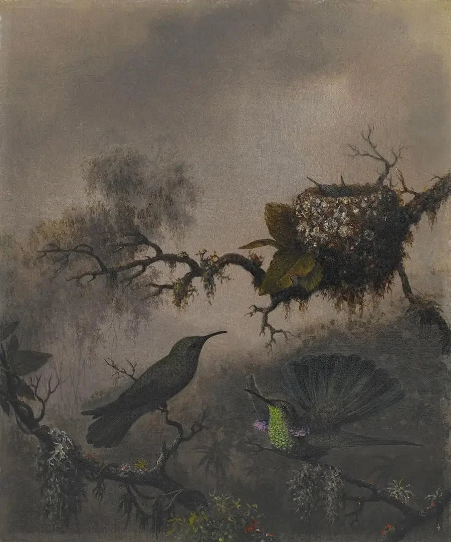Lilla øre med hvit mage - Martin Johnson Heade

Source:
Oreille violette à ventre blanc - Martin Johnson Heade