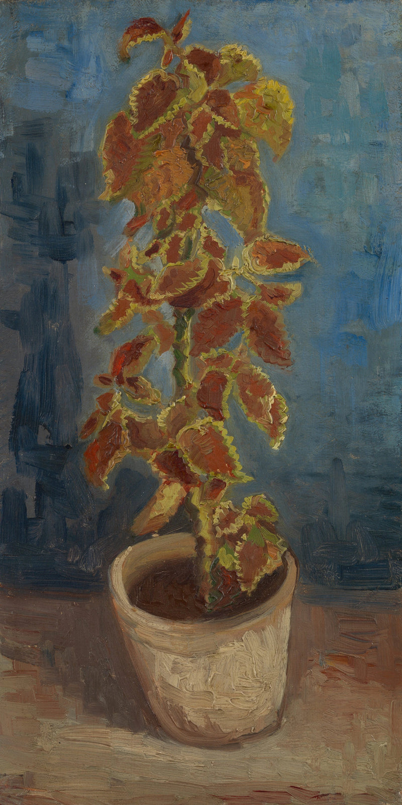 Flammende brennesle i blomsterpotte - Vincent van Gogh