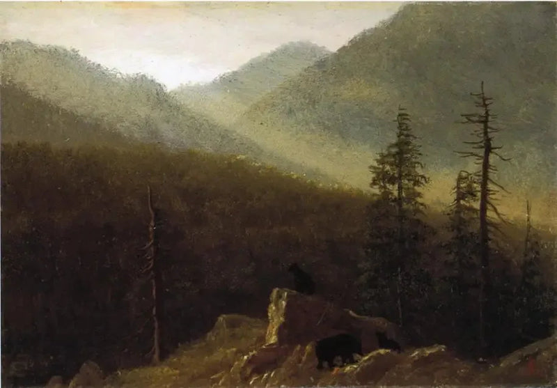 Våre i naturen - Albert Bierstadt

Source:
Ours dans la nature - Albert Bierstadt