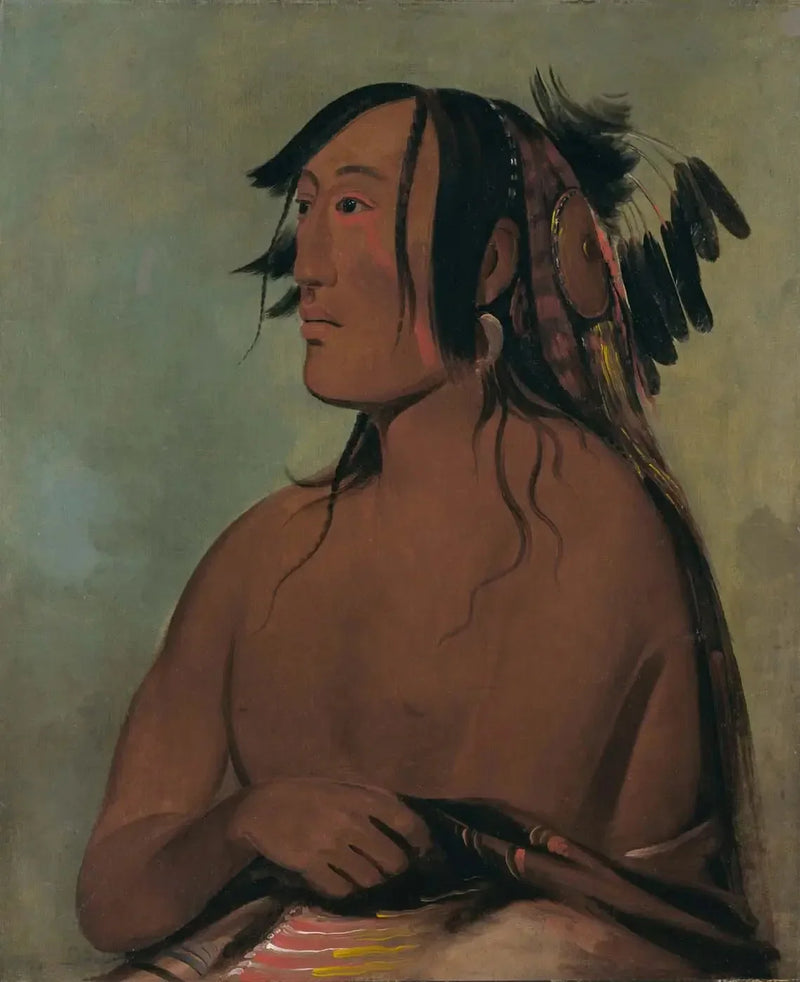 Paris-karoope, To Ravner, den Unge - George Catlin

Source:
Pa-ris-ka-roó-pa, Deux Corbeaux, le Jeune - George Catlin