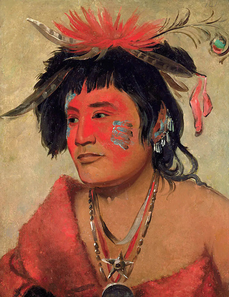 Pah-shee-náu-shaw, en kriger - George Catlin

Source:
Pah-shee-náu-shaw, un guerrier - George Catlin