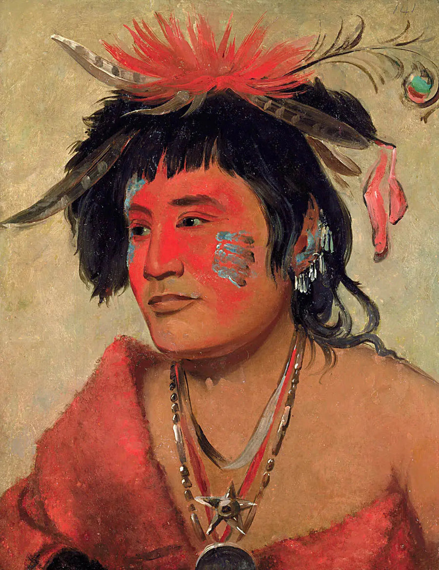 Pah-shee-náu-shaw, en kriger - George Catlin

Source:
Pah-shee-náu-shaw, un guerrier - George Catlin