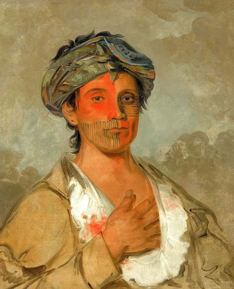 Pah-te-cóo-saw, hetero mann, semi-sivilisert - George Catlin

Source:
Pah-te-cóo-saw, homme hétéro, semi-civilisé - George Catlin