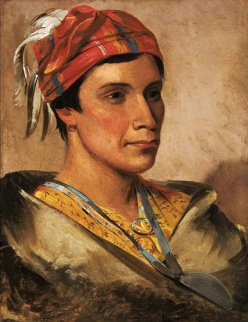 Smerte, stammeleder - George Catlin

Source:
Pain, chef de la tribu - George Catlin