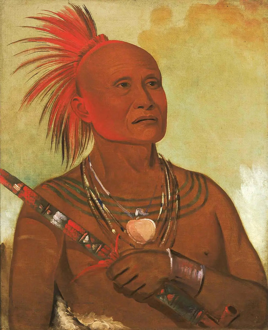 Pam-a-hó, svømmeren, en av krigerne fra Black Hawk - George Catlin

Source:
Pam-a-hó, le nageur, l'un des guerriers de Black Hawk - George Catlin
