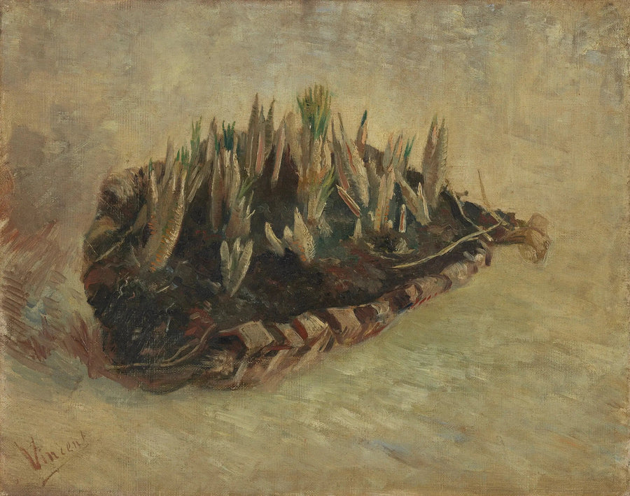 Krokusløkker - Vincent van Gogh