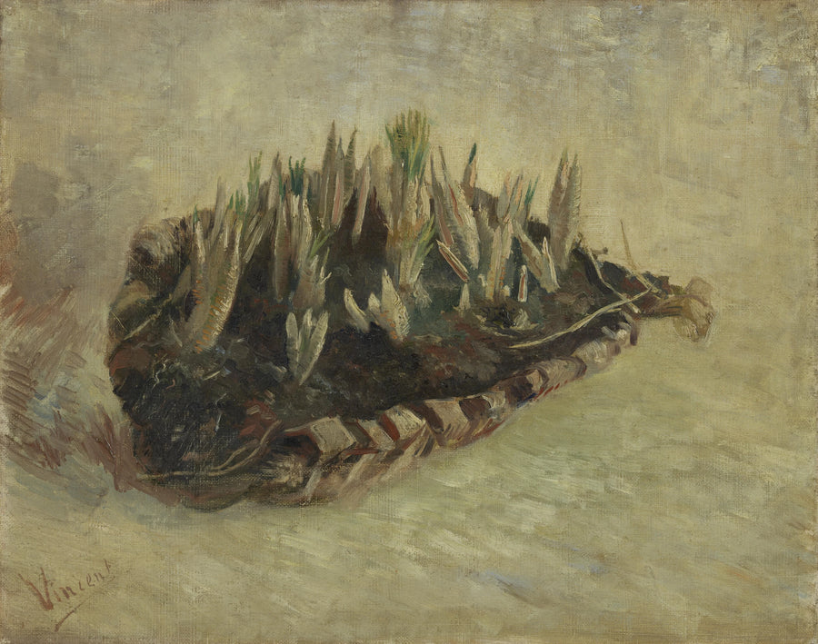 Krokusløkker - Vincent van Gogh