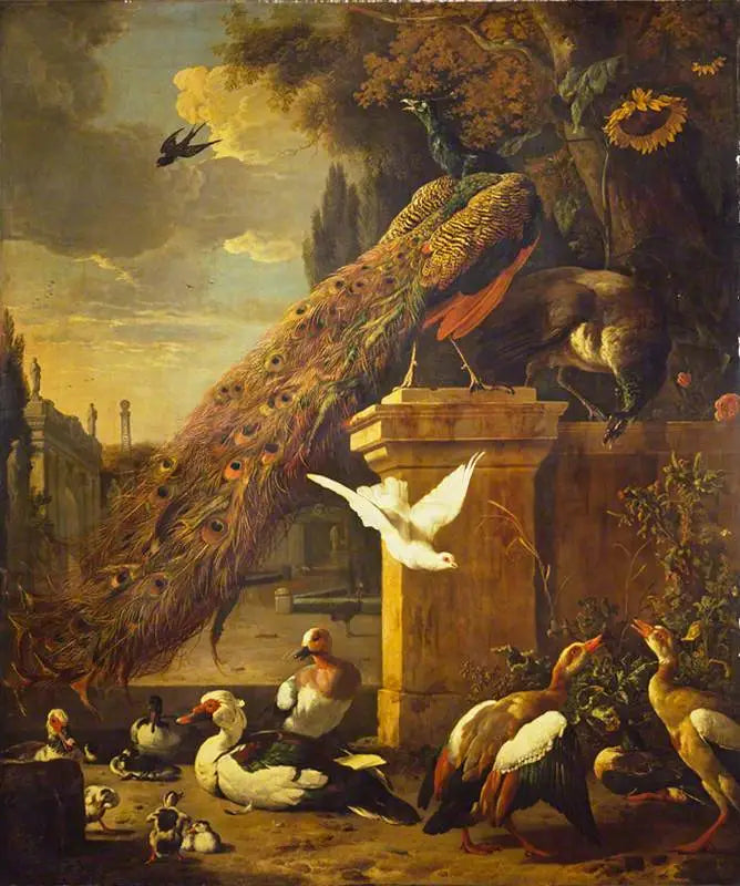 Påfugler og ender - Melchior de Hondecoeter