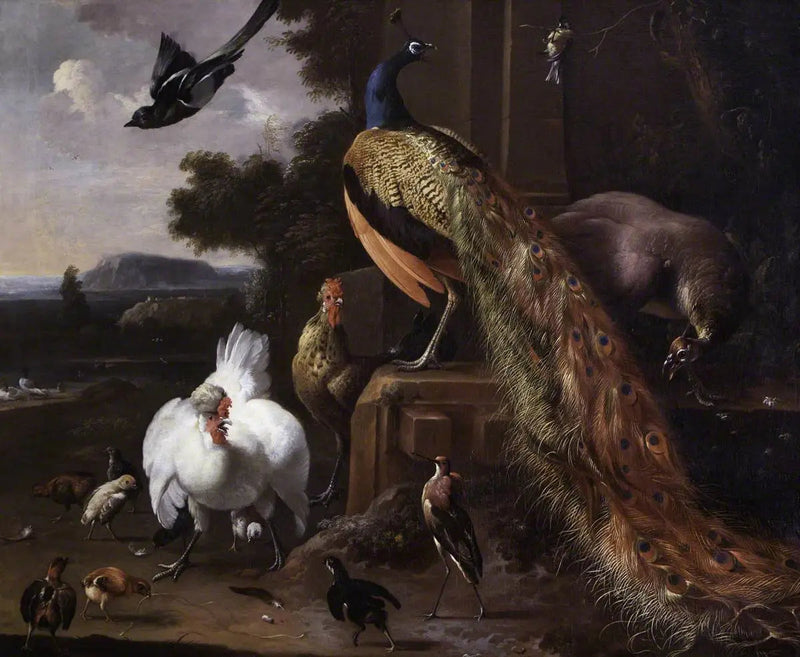 Påfugler og fjærfe på gårdsplassen med en måke i et landskap - Melchior de Hondecoeter