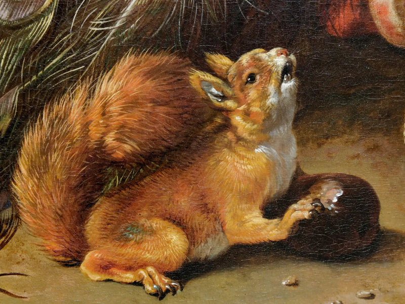 Påfugler - Melchior de Hondecoeter
