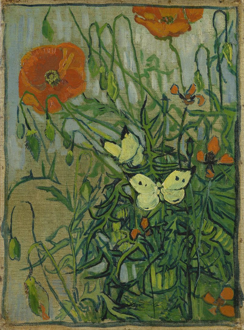 Sommerfugler og valmuer - Vincent van Gogh