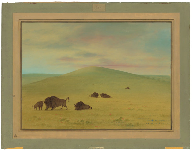 Amerikansk beitemark - Platte-præriene - George Catlin

Source:
Pâturage américain - Prairies de la Platte - George Catlin