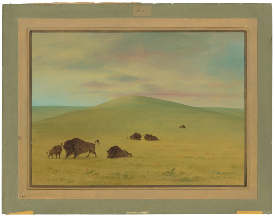 Amerikansk beitemark - Platte-præriene - George Catlin

Source:
Pâturage américain - Prairies de la Platte - George Catlin
