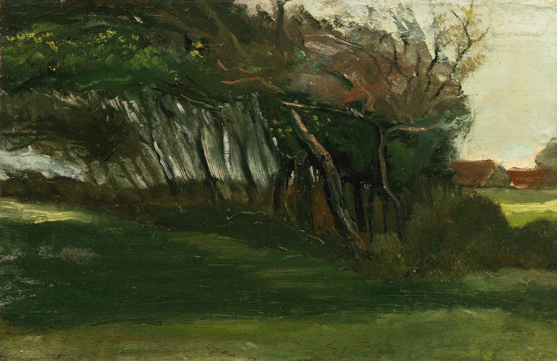 Landskap med trær blåst av vinden - Vincent van Gogh