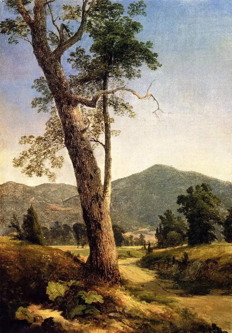 Landskap bak treet - Asher Brown Durand

Source:
Paysage au-delà de l'arbre - Asher Brown Durand