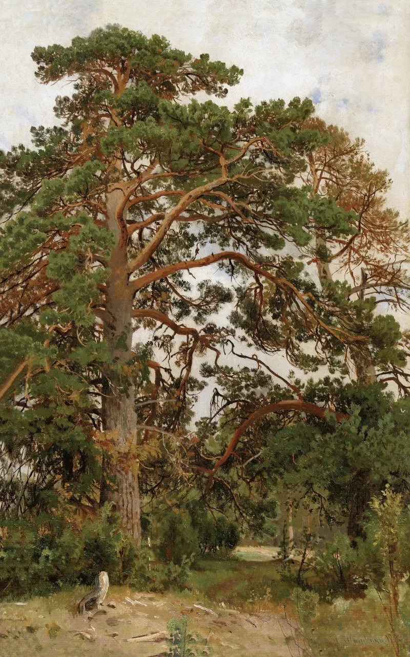 Landskap med furutrær - Ivan Chichkine

Source:
Paysage avec pins - Ivan Chichkine