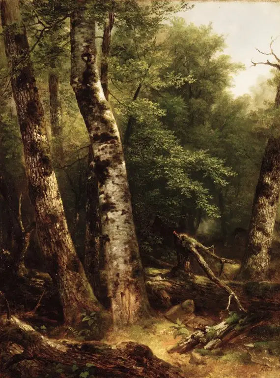 Landskap (bølger og eiketrær) - Asher Brown Durand

Source:
Paysage (bouleaux et chênes) - Asher Brown Durand