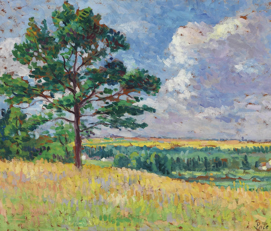  Landskap nær Méréville - Maximilien Luce