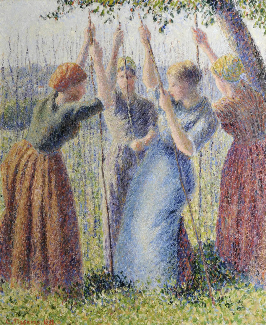 Bønder som planter rammer - Camille Pissarro