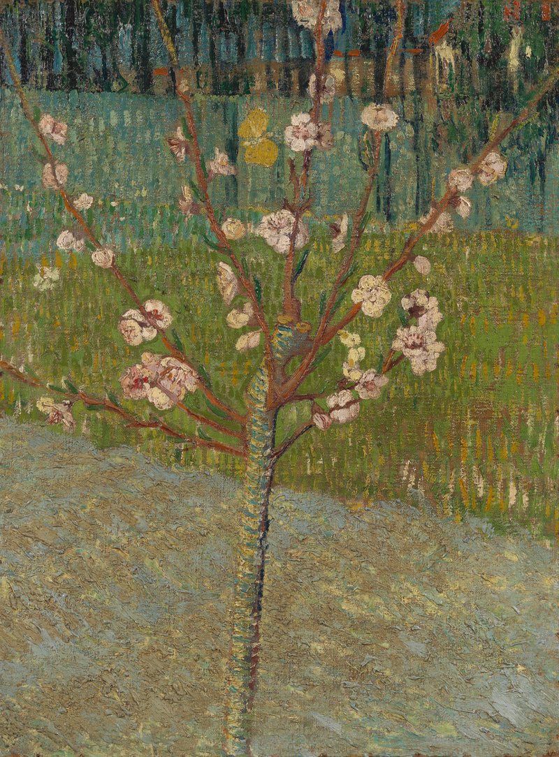 Fiske i blomst - Vincent van Gogh