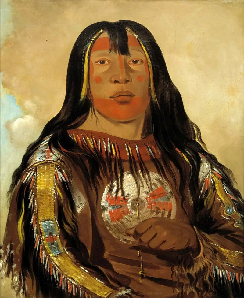 Peh-tó-pe-kiss, Côtes d'Aigle, en chef Piegan - George Catlin

Source:
Peh-tó-pe-kiss, Côtes d'Aigle, un chef Piegan - George Catlin