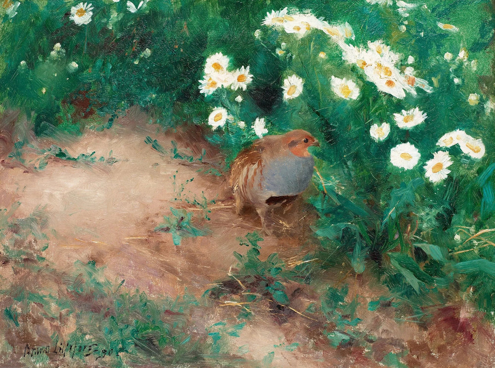Perdrix grise avec des marguerites des champs - Bruno Liljefors image 1 copie peinte à la main à l’huile