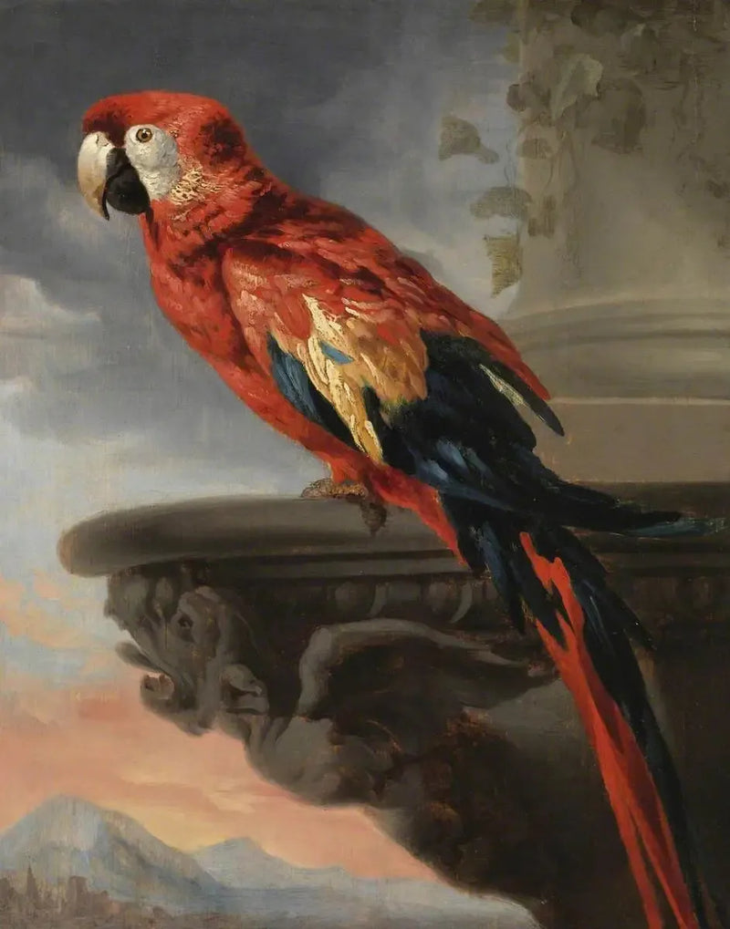 Papegøye - Peter Paul Rubens