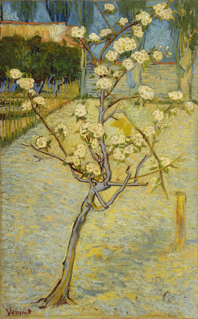 Liten blomstrende pæretre - Vincent van Gogh