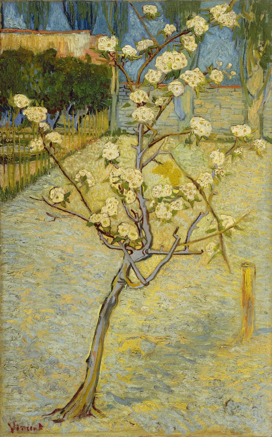 Liten blomstrende pæretre - Vincent van Gogh