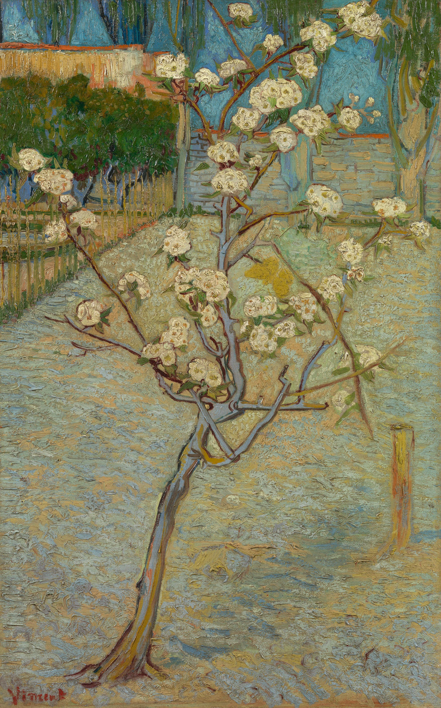 Liten blomstrende pæretre - Vincent van Gogh