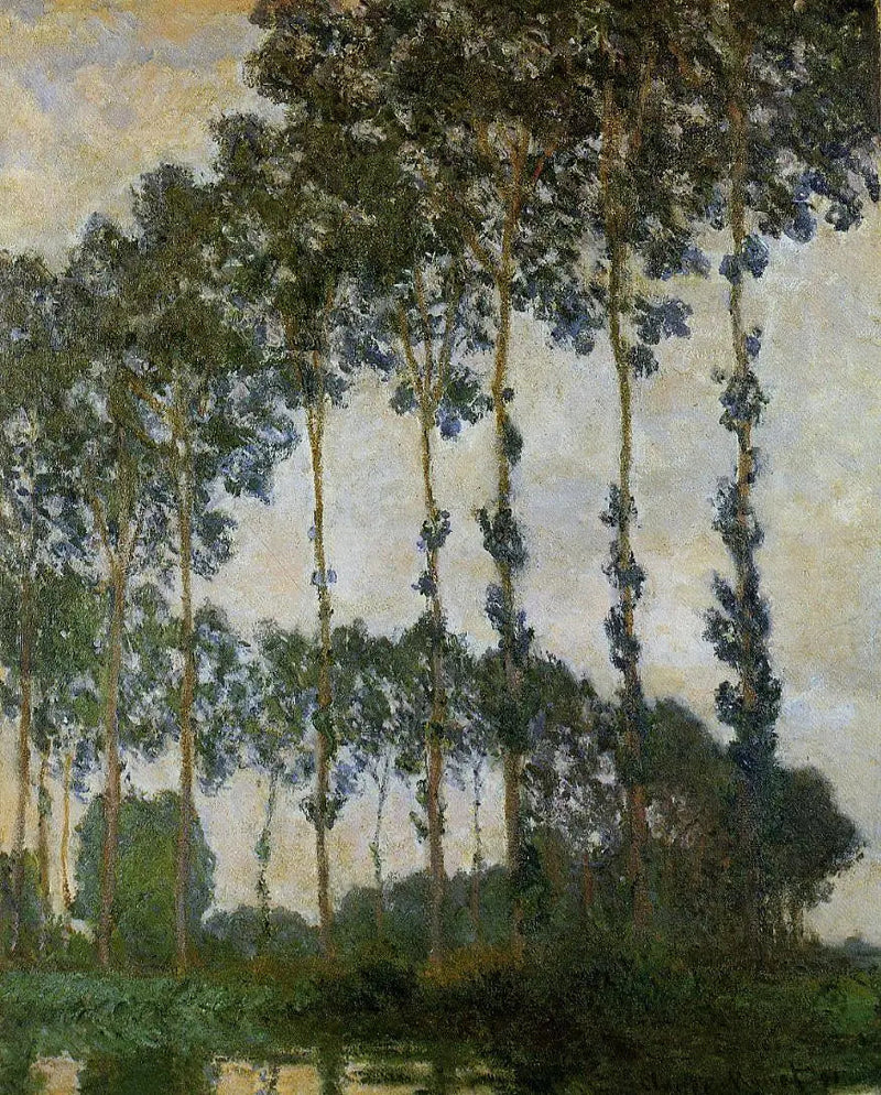 Poppeltrær nær Giverny, overskyet vær - Claude Monet